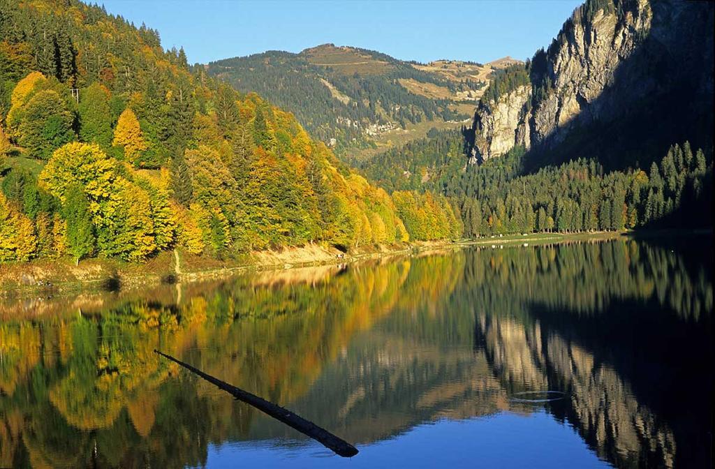 Auberge Du Mont Rond Montriond Kültér fotó